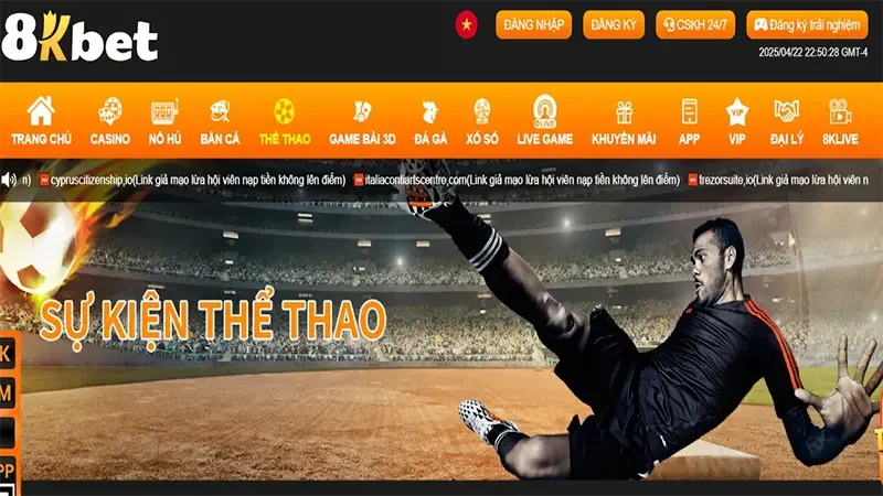 Tổng hợp sản phẩm đắt khách nhất của nền tảng